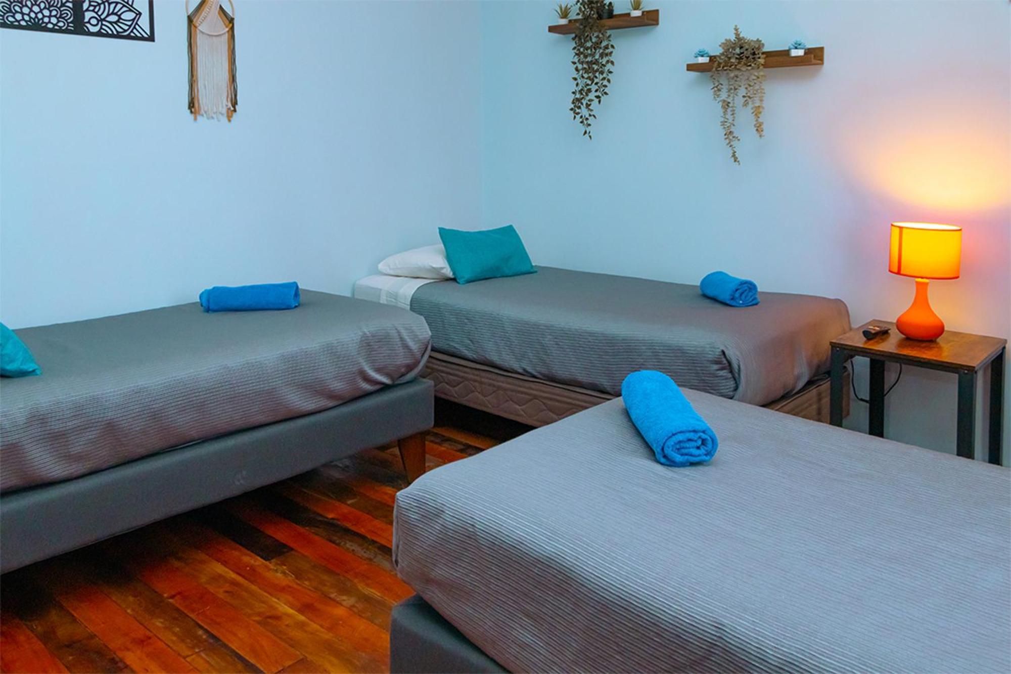 Bed and Breakfast Tagle Casa Del Lado Santiago Providencia Экстерьер фото
